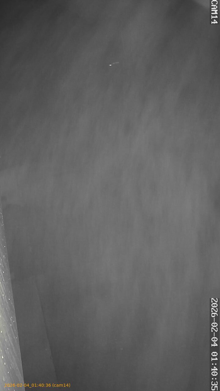 thumbnail_20260204014036