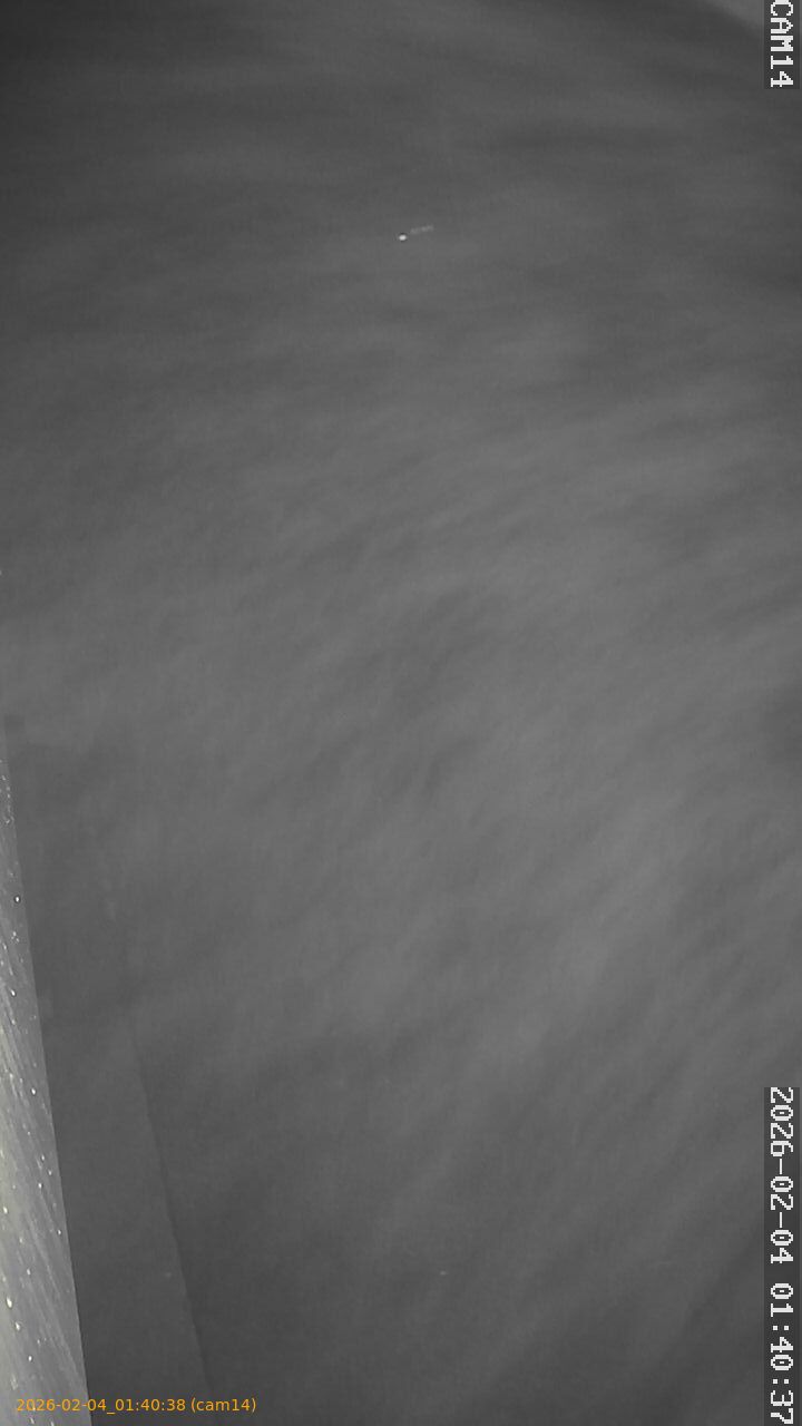 thumbnail_20260204014038