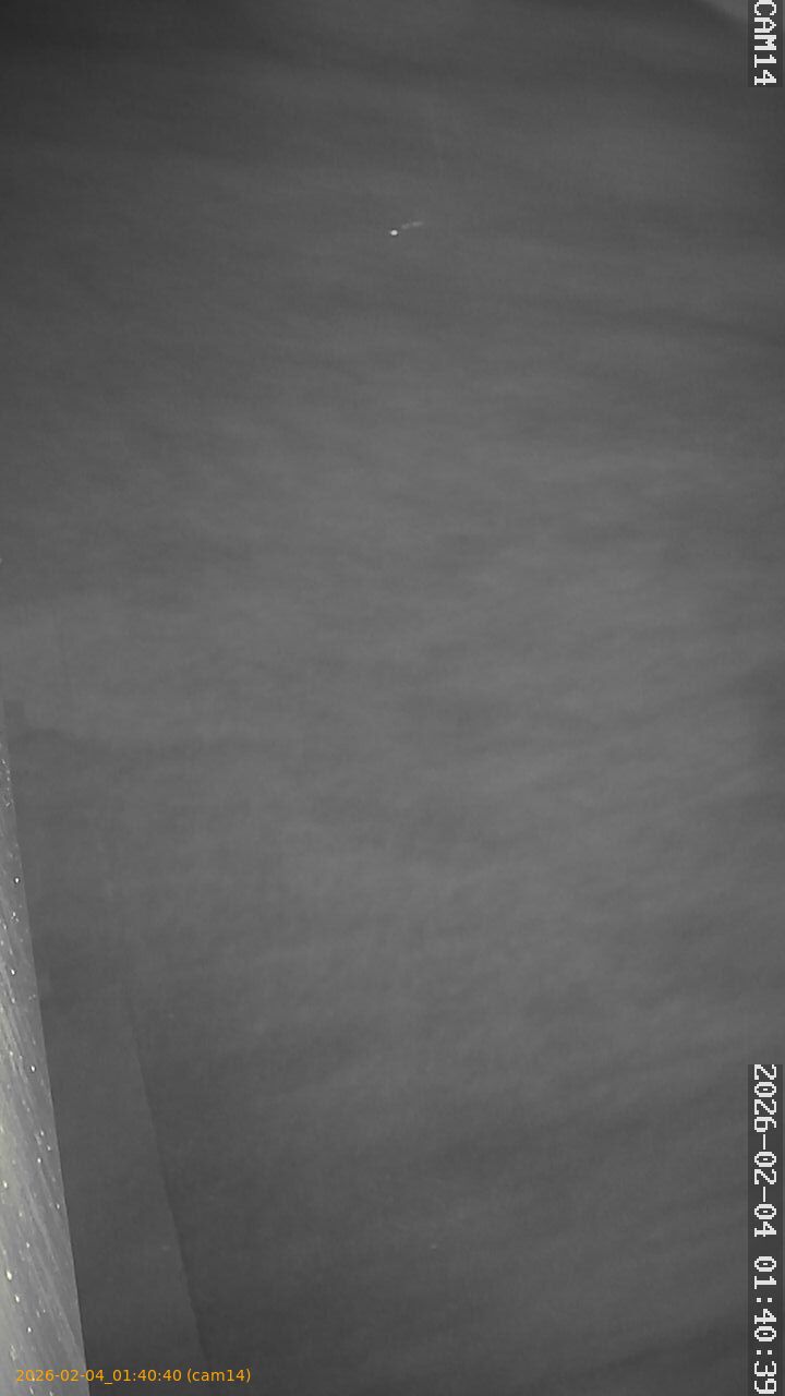 thumbnail_20260204014040