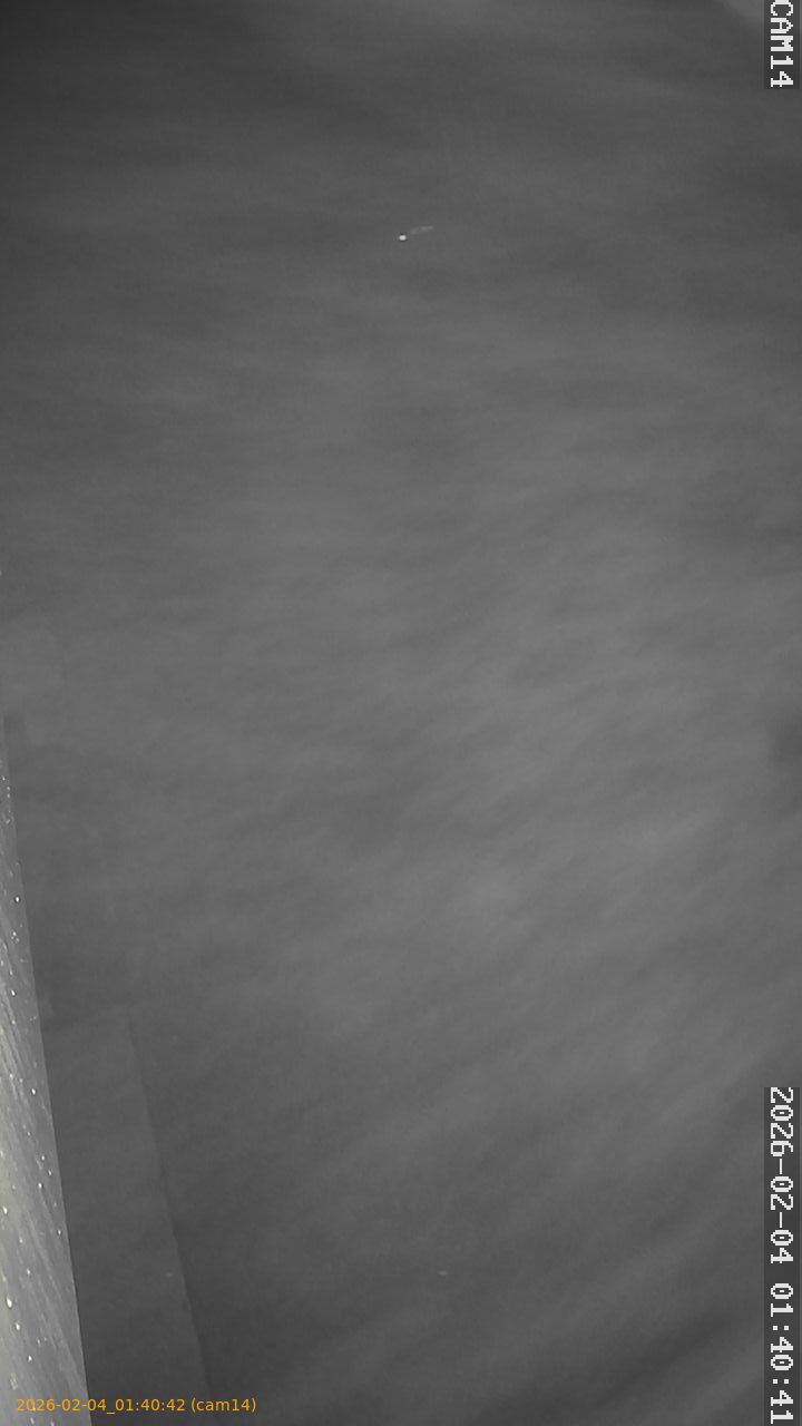 thumbnail_20260204014042