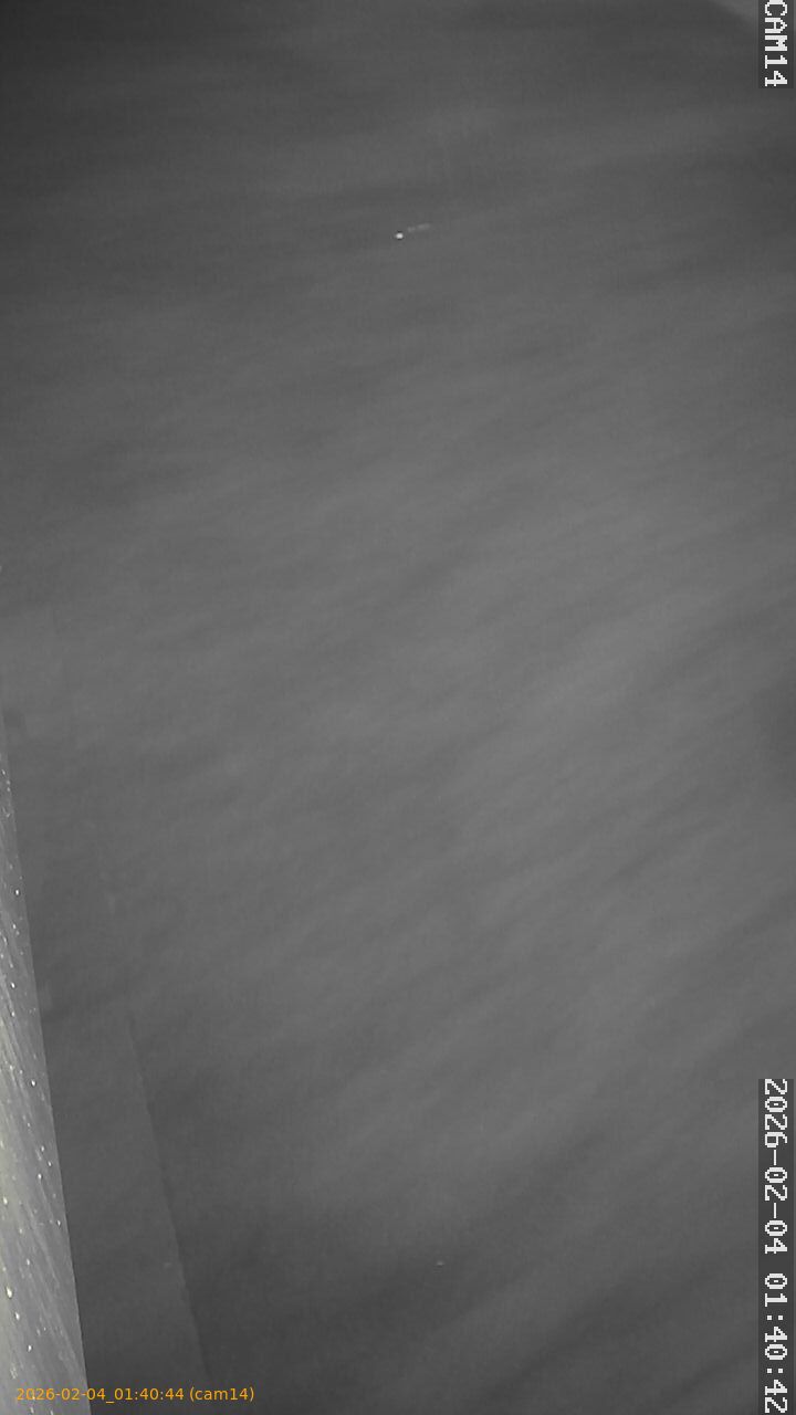 thumbnail_20260204014043