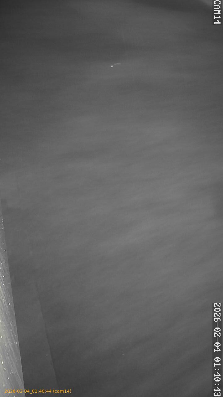 thumbnail_20260204014044