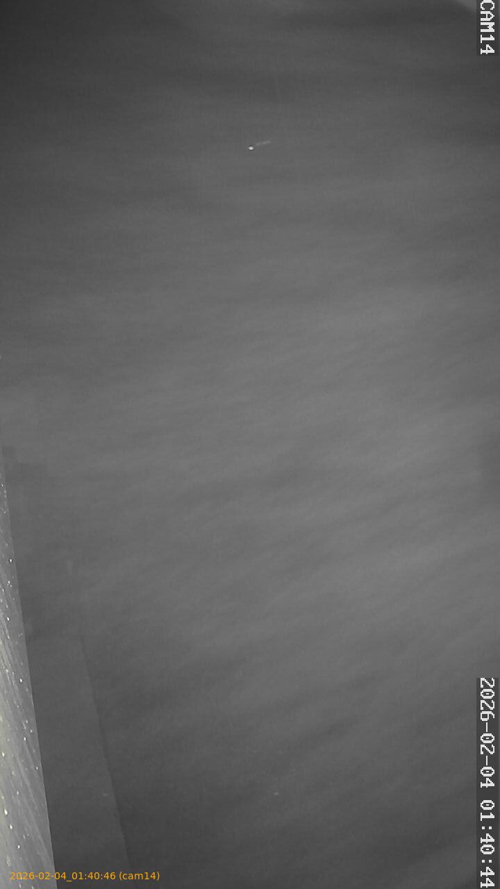 thumbnail_20260204014045