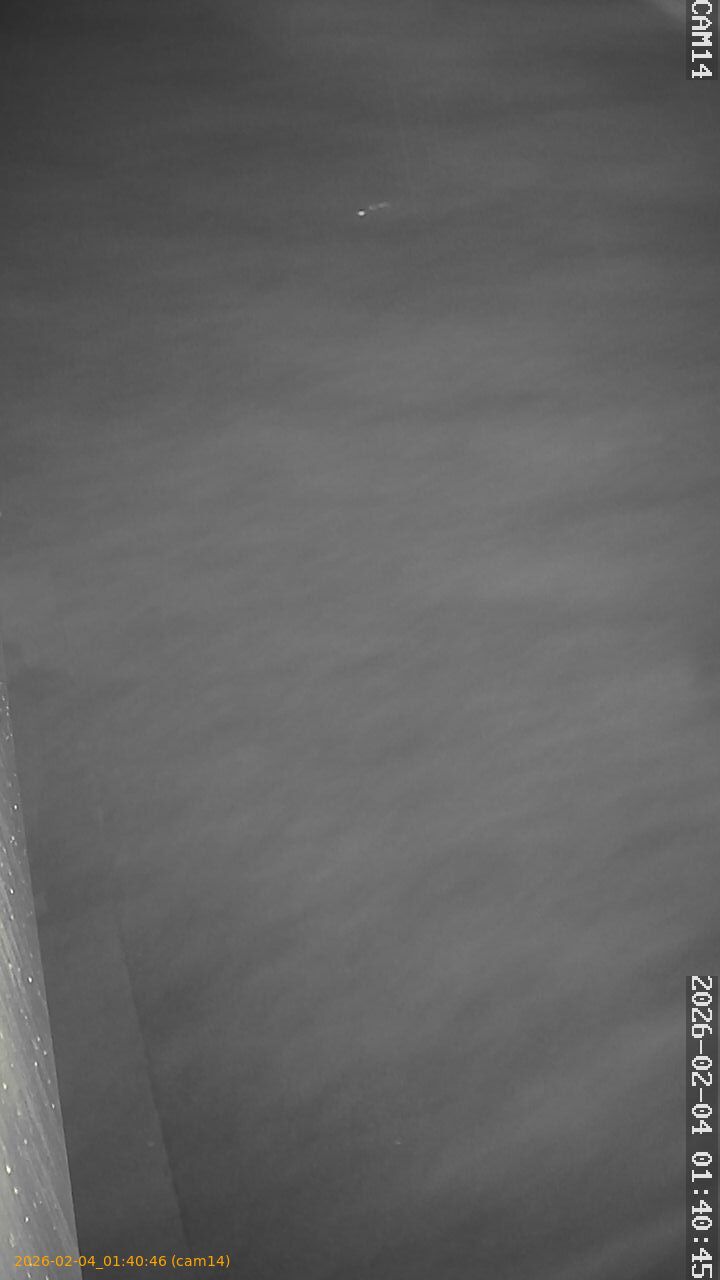 thumbnail_20260204014046