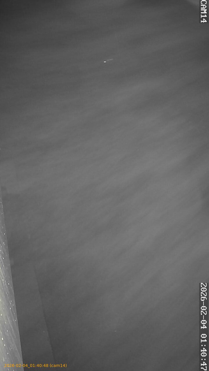 thumbnail_20260204014047