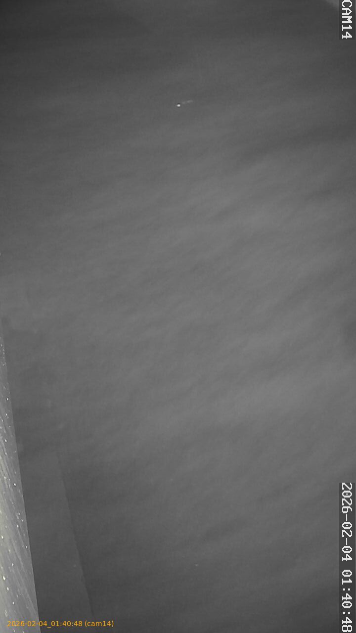 thumbnail_20260204014048