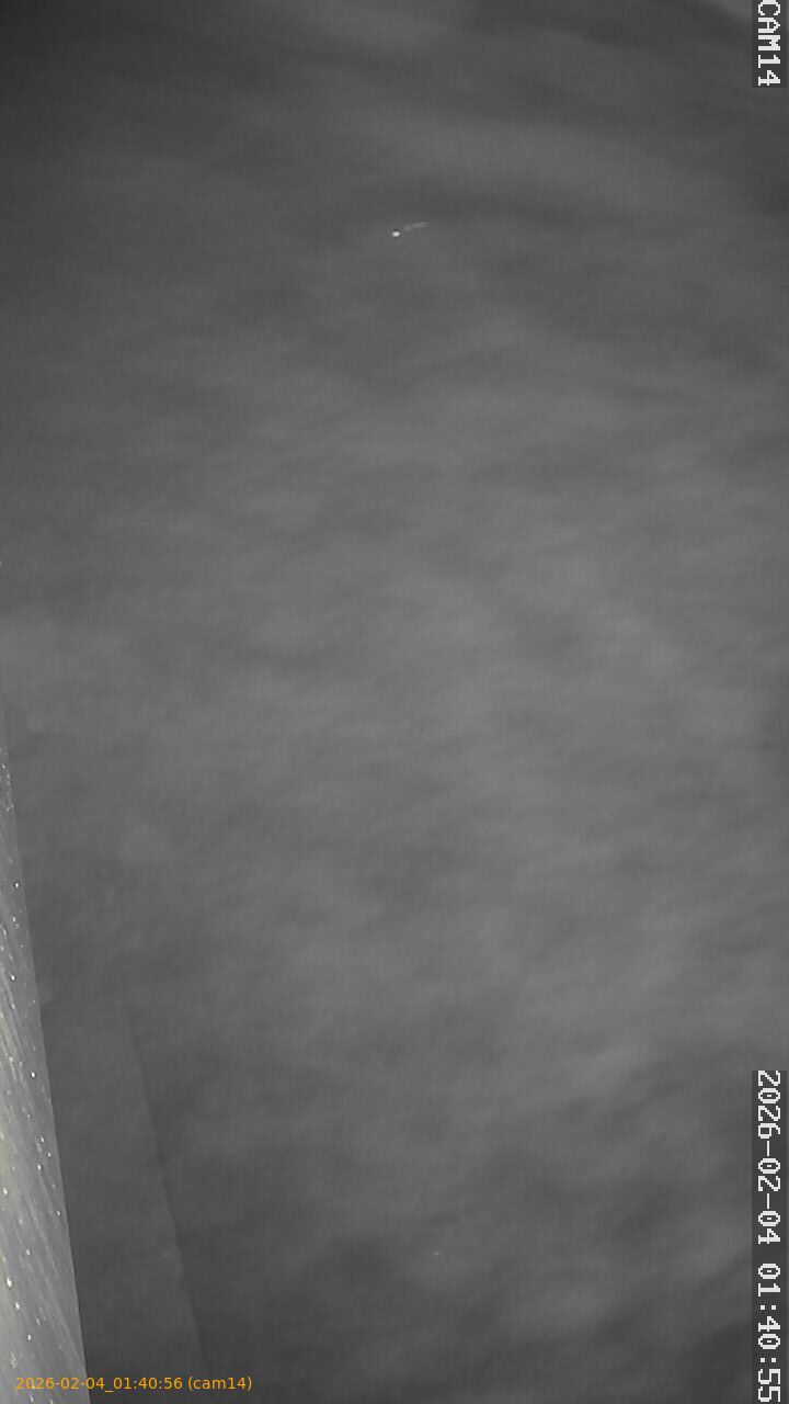 thumbnail_20260204014056