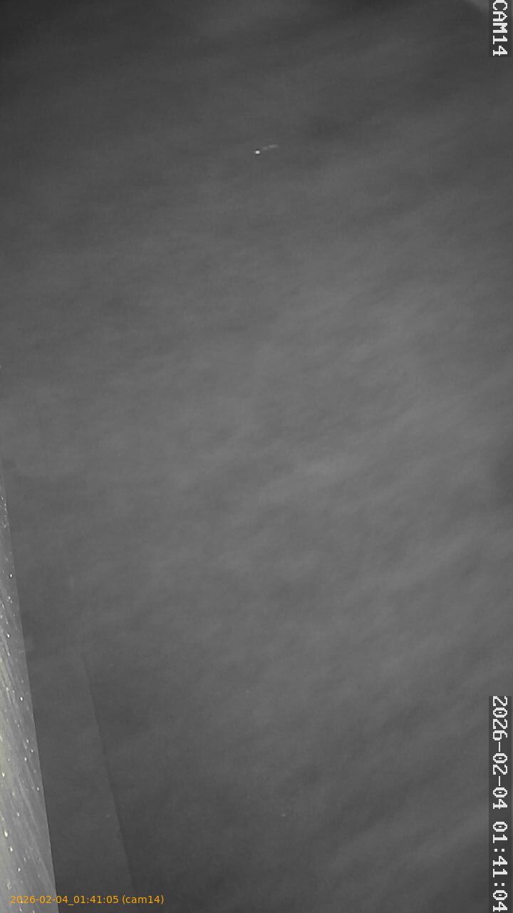 thumbnail_20260204014105