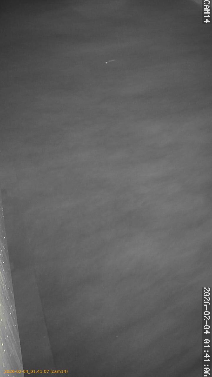 thumbnail_20260204014107