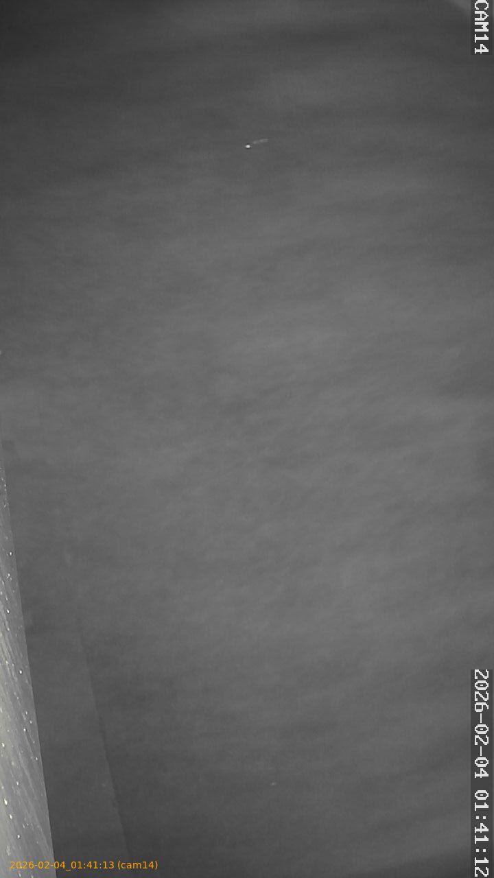 thumbnail_20260204014113