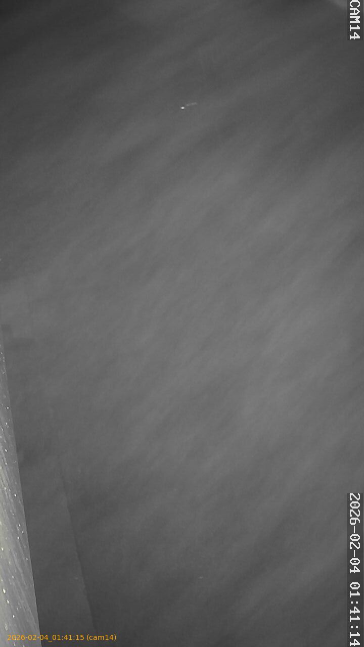 thumbnail_20260204014115