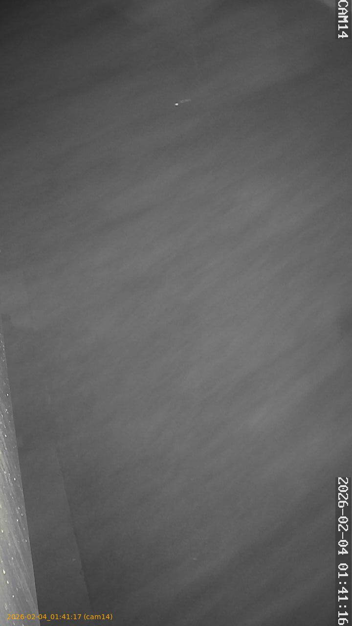 thumbnail_20260204014117