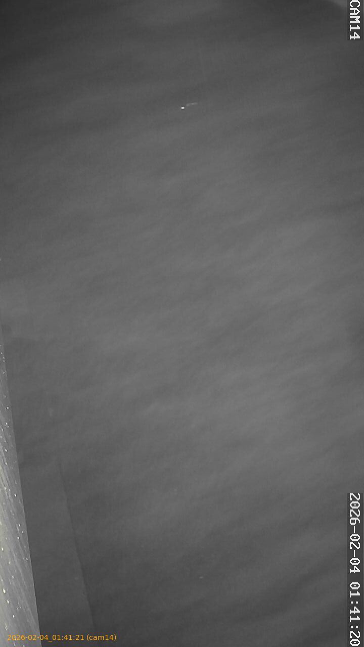 thumbnail_20260204014121