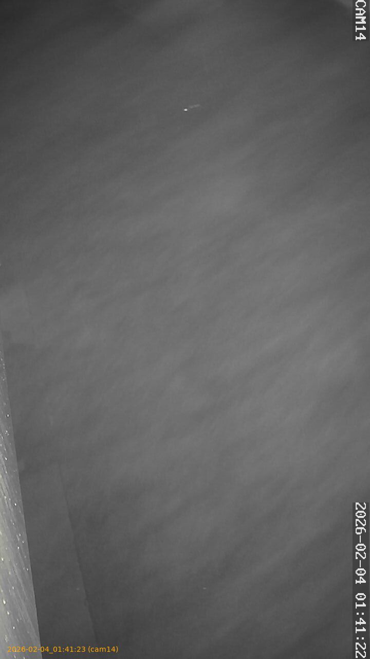 thumbnail_20260204014123