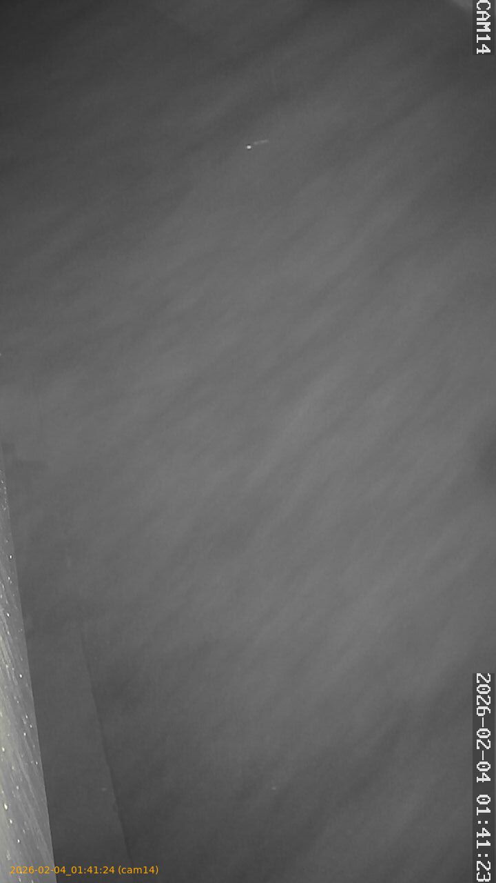 thumbnail_20260204014124