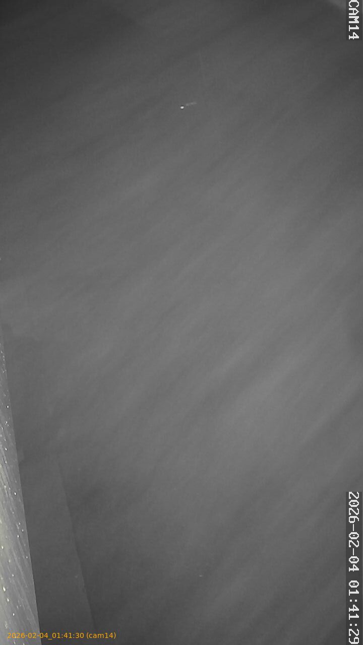 thumbnail_20260204014130