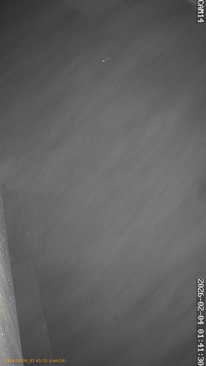 thumbnail_20260204014131