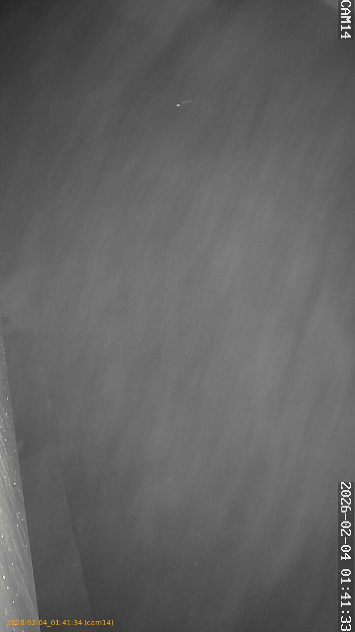 thumbnail_20260204014134