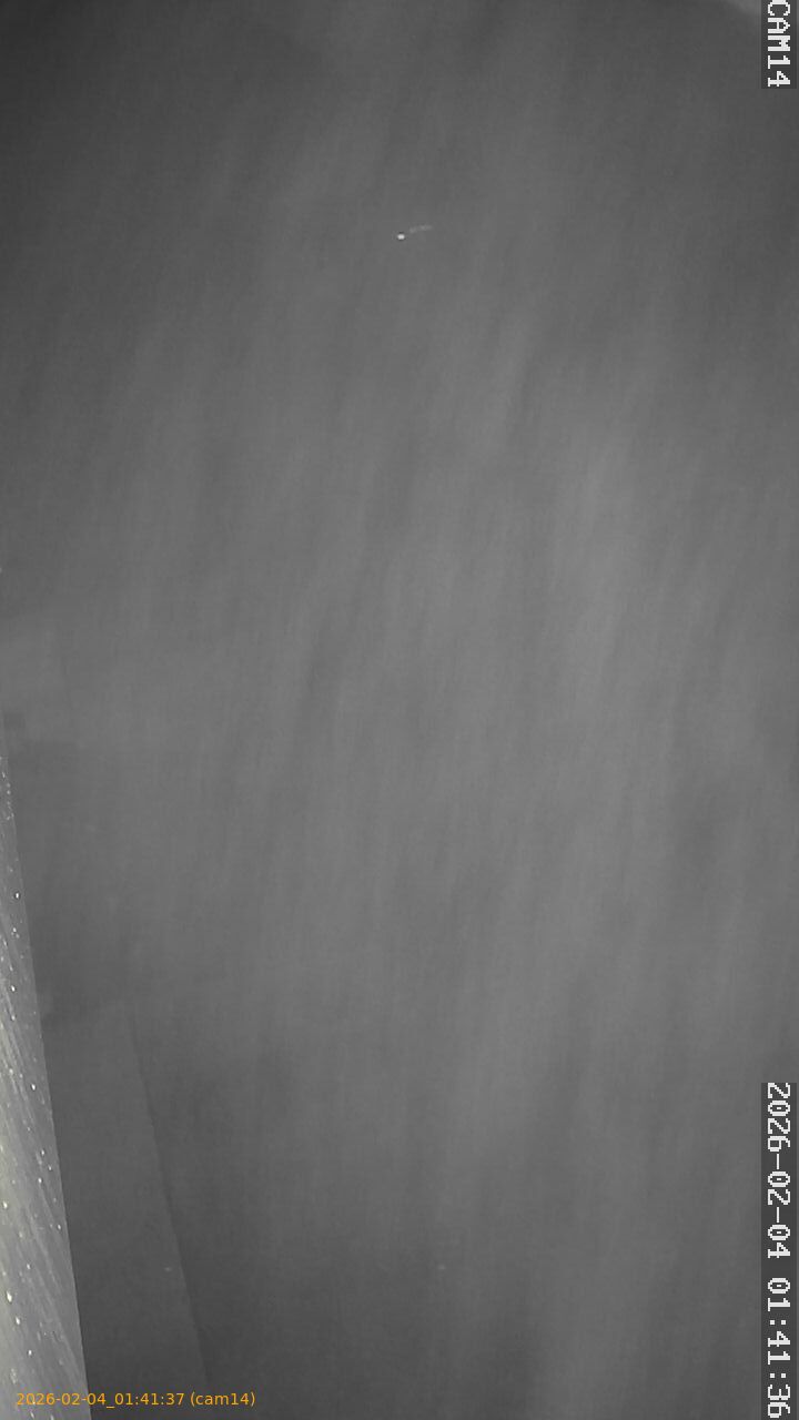 thumbnail_20260204014137