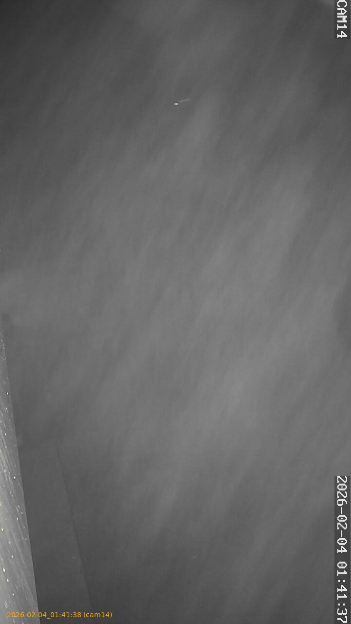 thumbnail_20260204014138