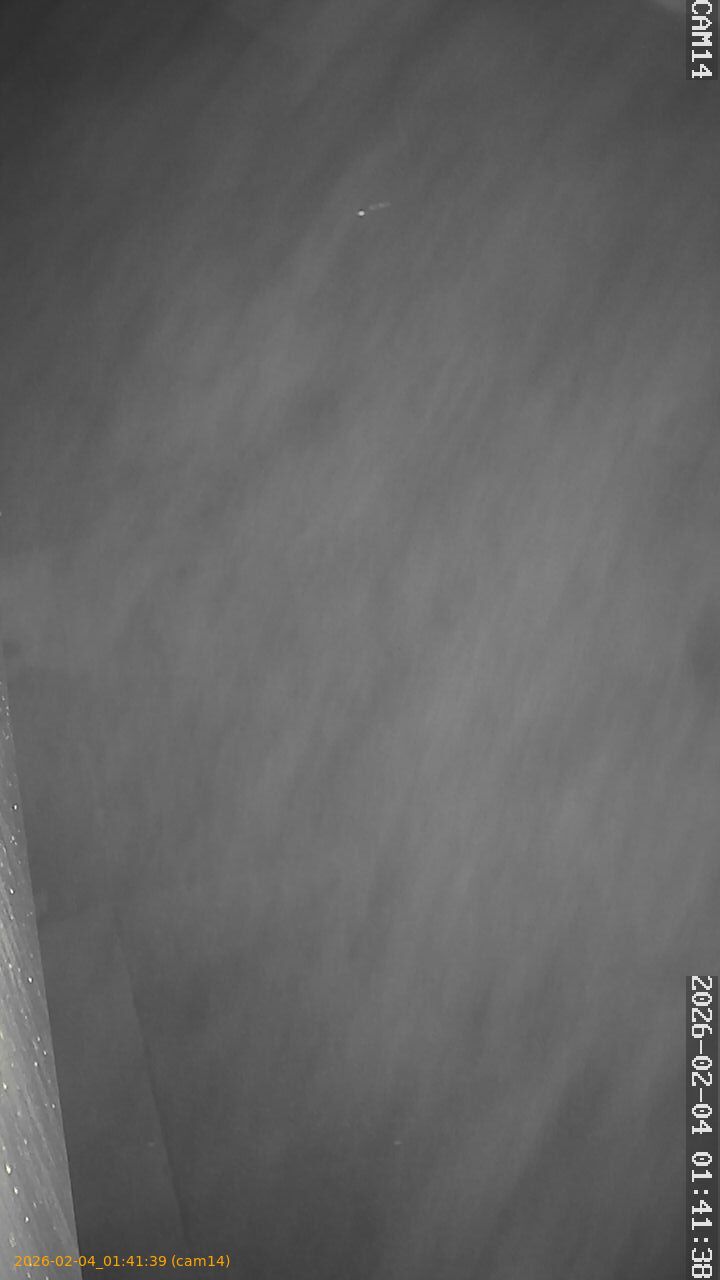 thumbnail_20260204014139