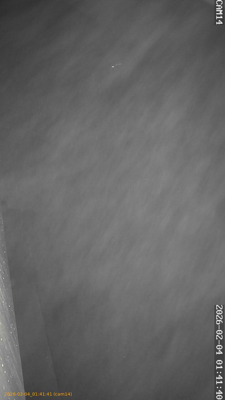 thumbnail_20260204014141