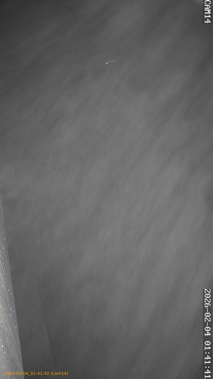 thumbnail_20260204014142