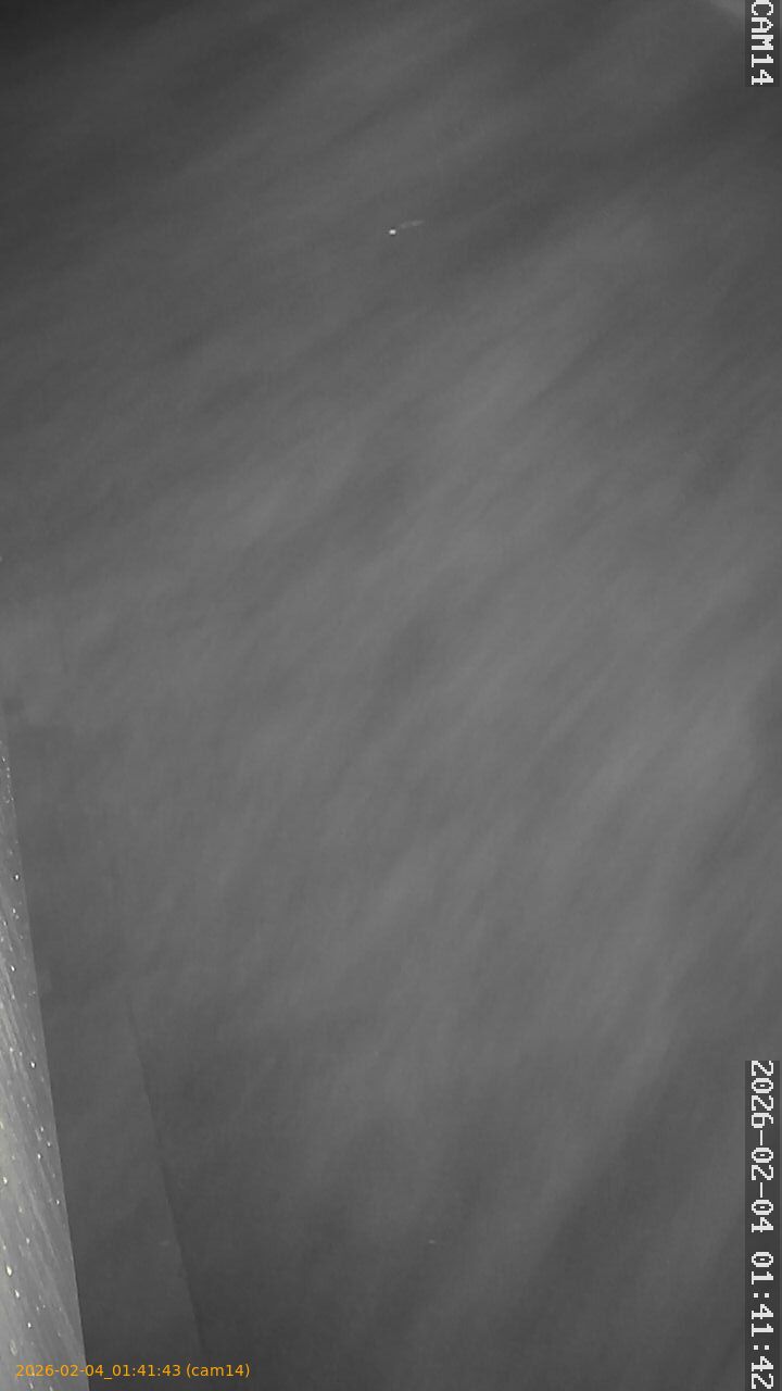 thumbnail_20260204014143