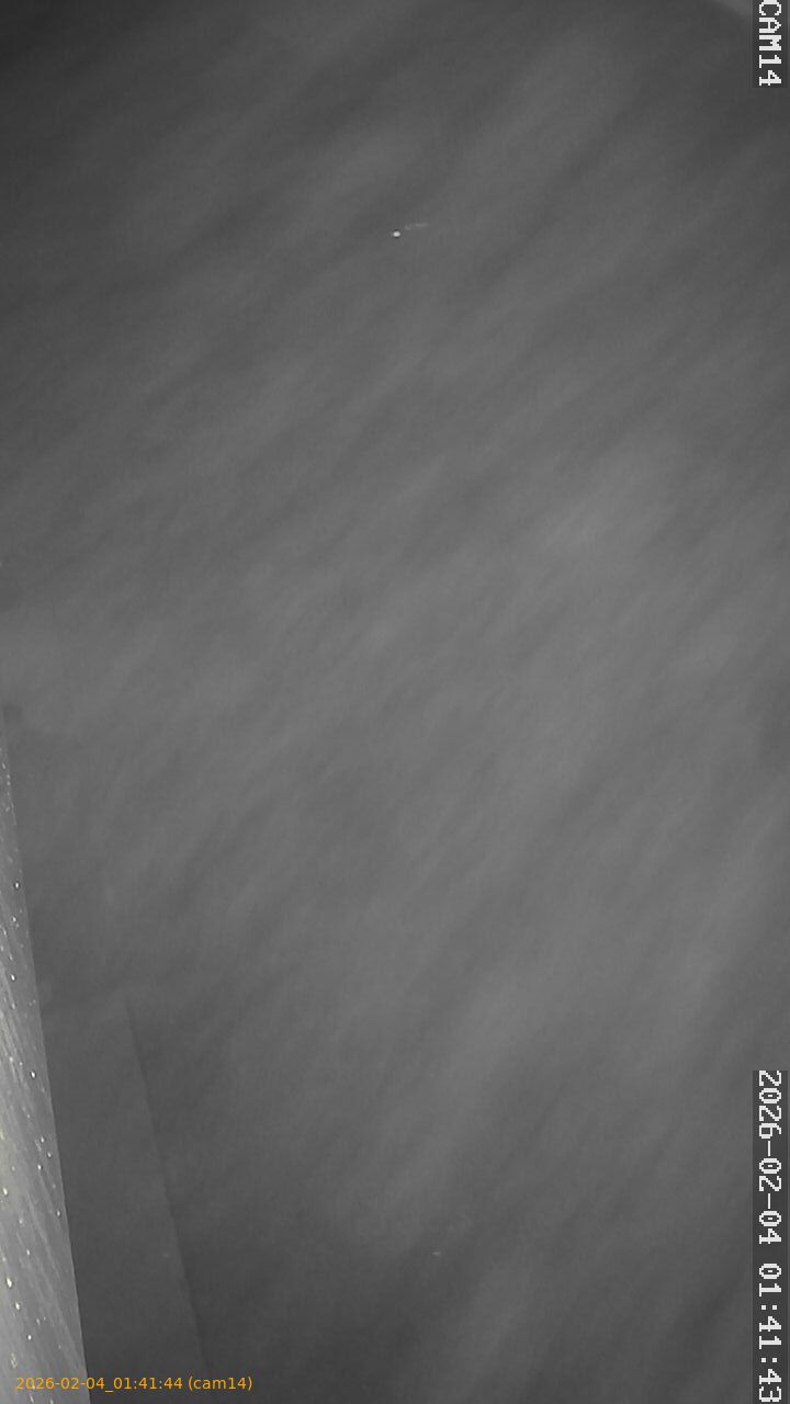 thumbnail_20260204014144