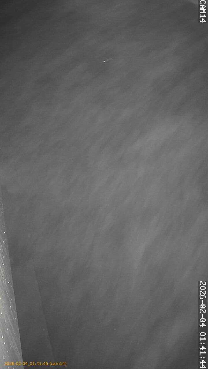 thumbnail_20260204014145