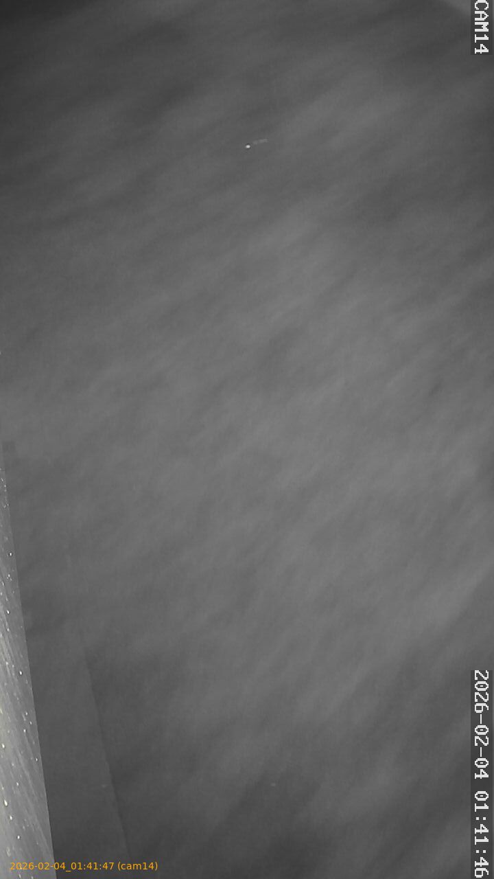 thumbnail_20260204014147