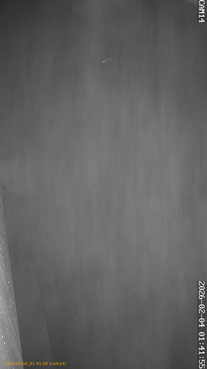 thumbnail_20260204014156