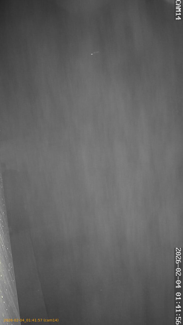 thumbnail_20260204014157