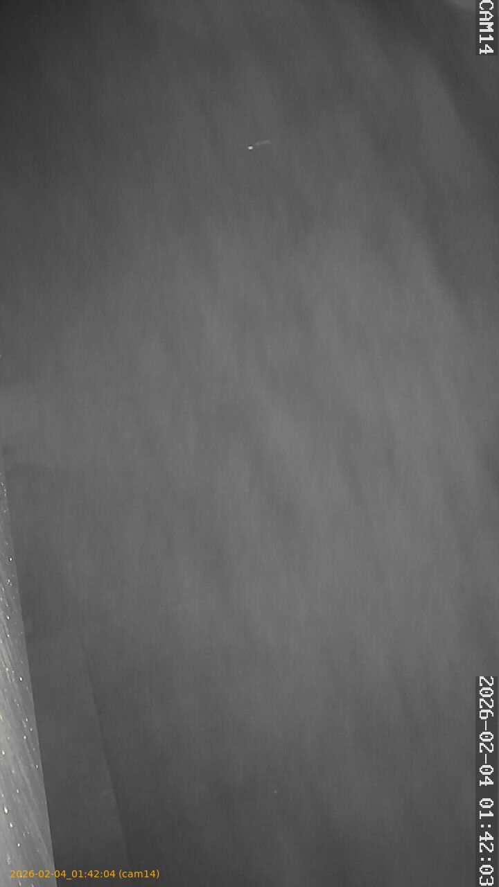 thumbnail_20260204014204