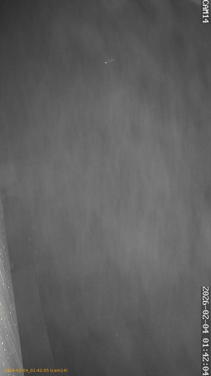 thumbnail_20260204014205