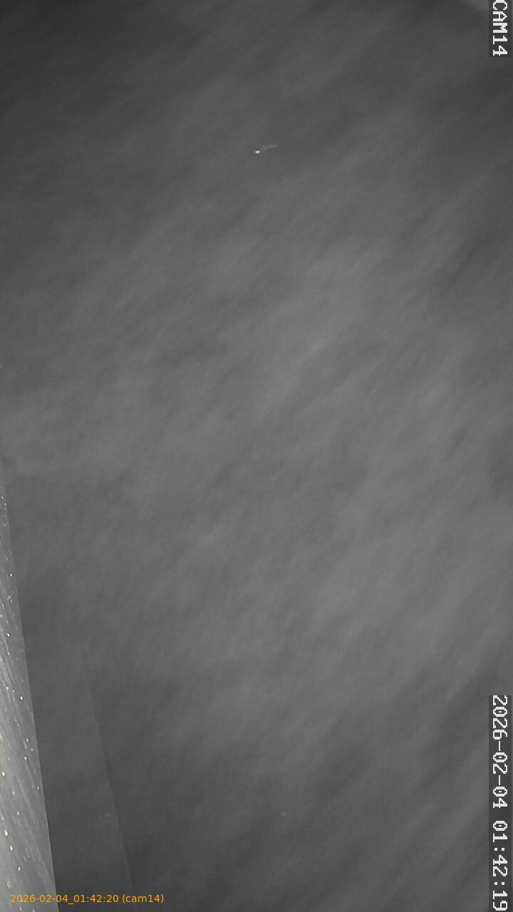 thumbnail_20260204014220