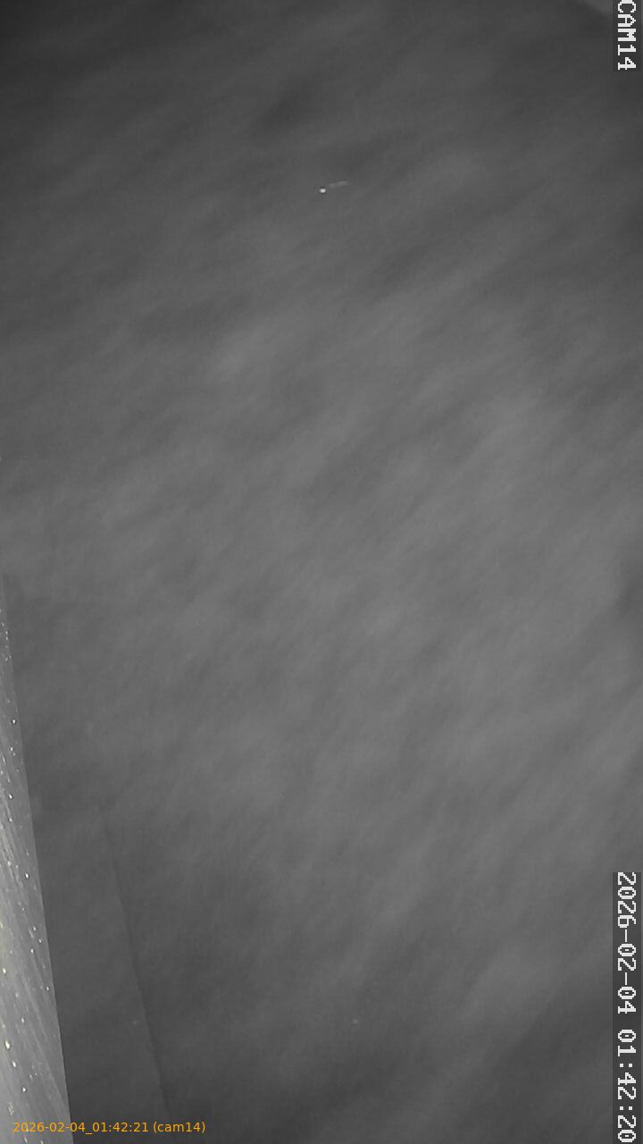 thumbnail_20260204014221