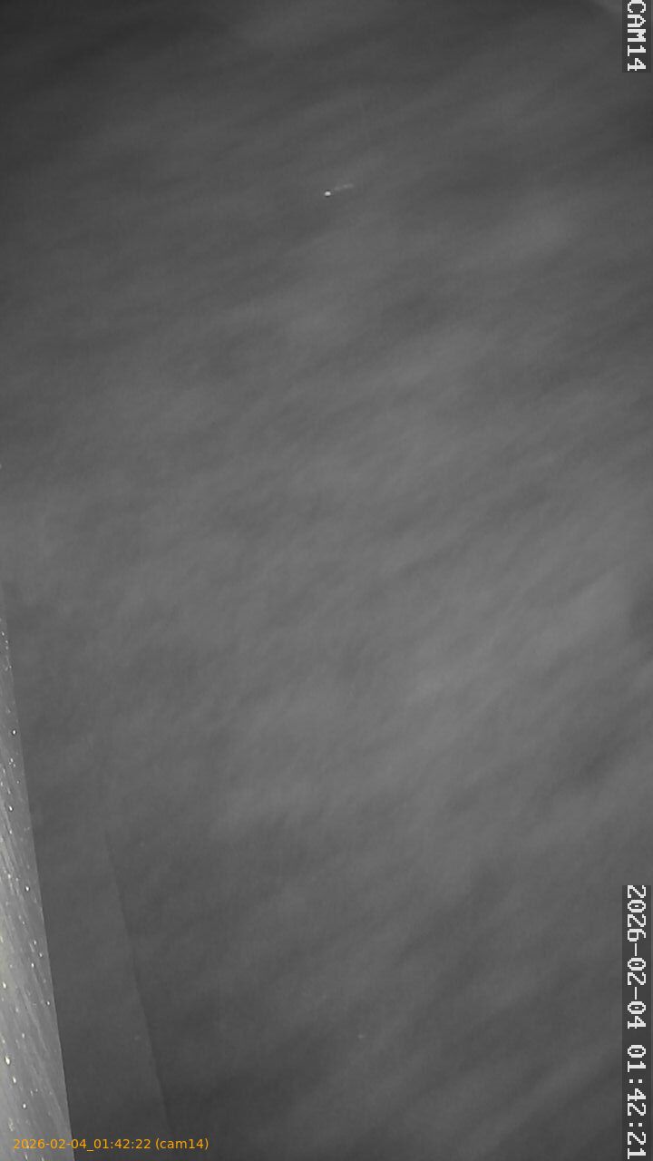 thumbnail_20260204014222