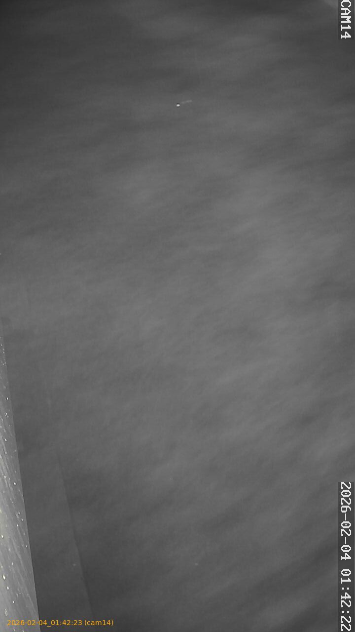 thumbnail_20260204014223