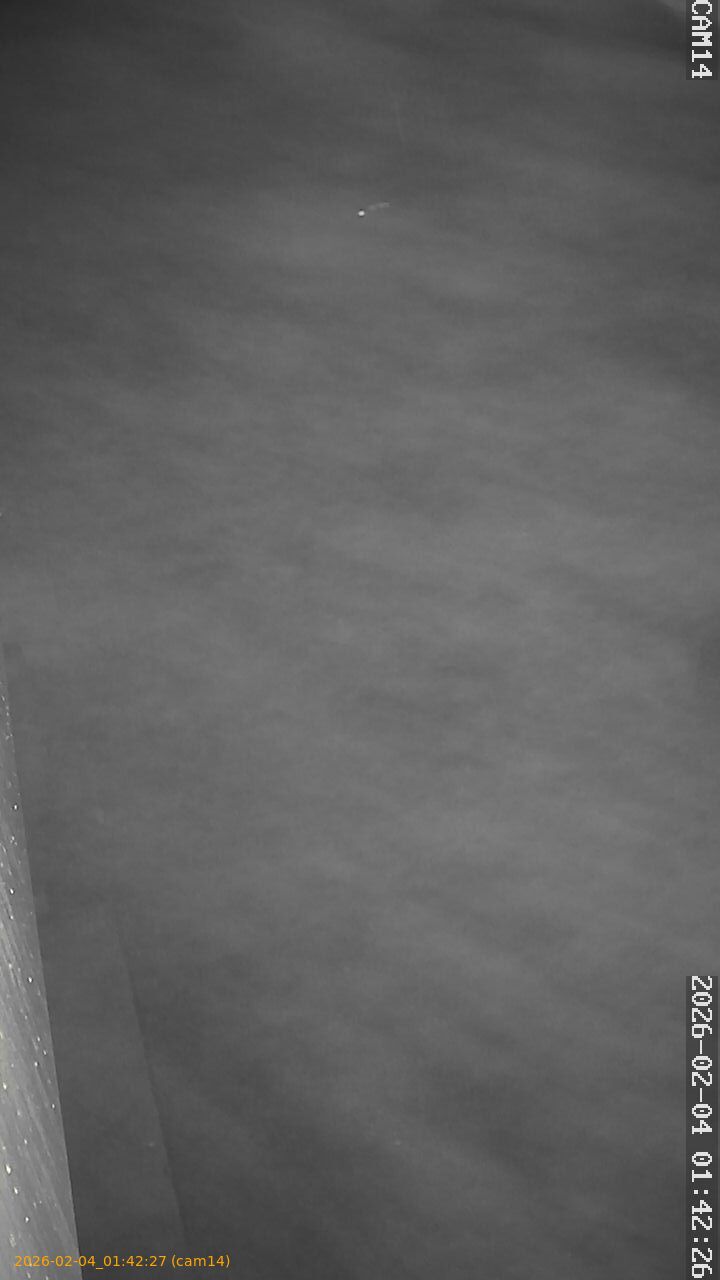 thumbnail_20260204014227