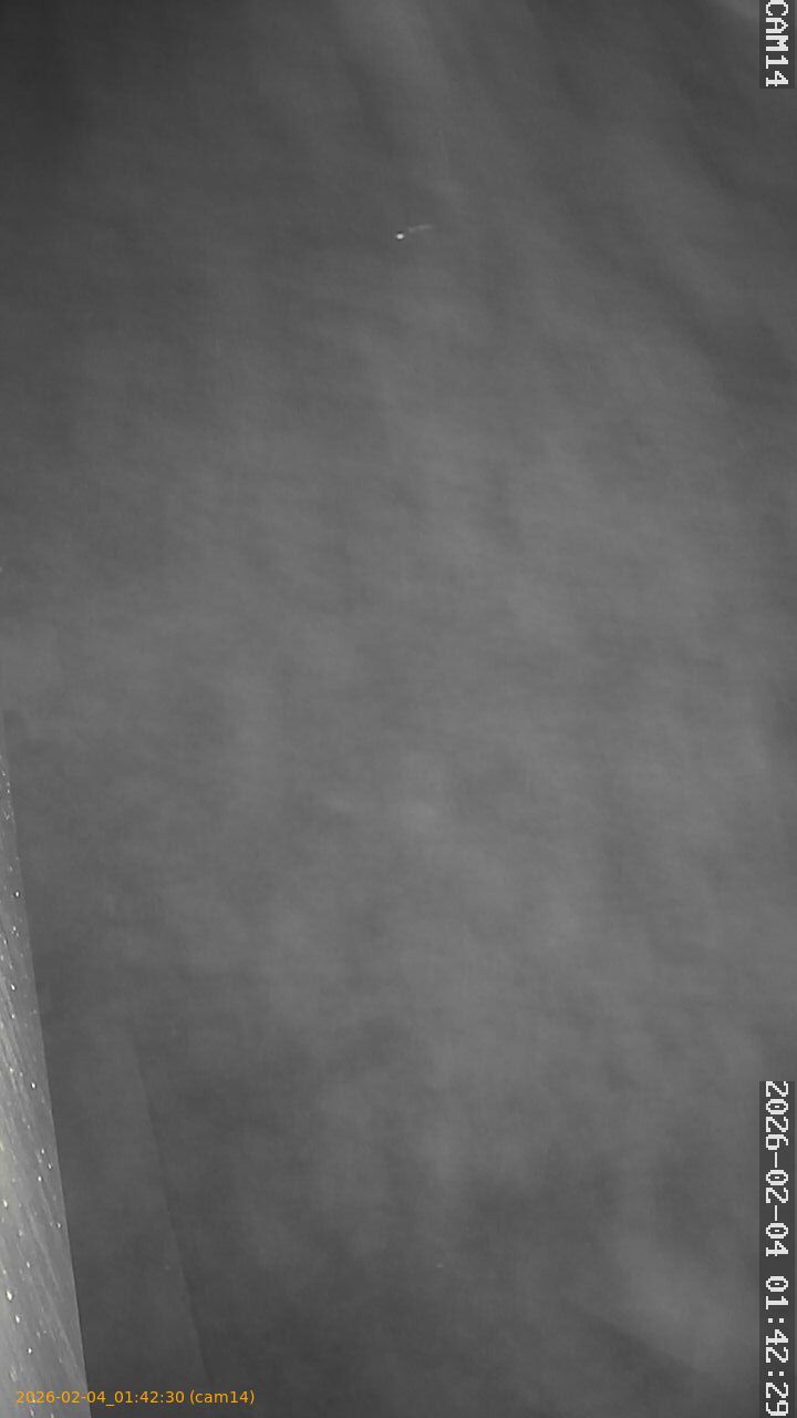 thumbnail_20260204014230