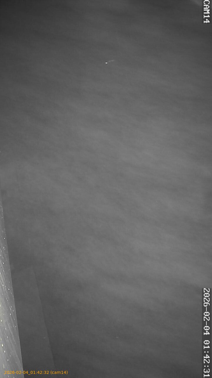 thumbnail_20260204014232