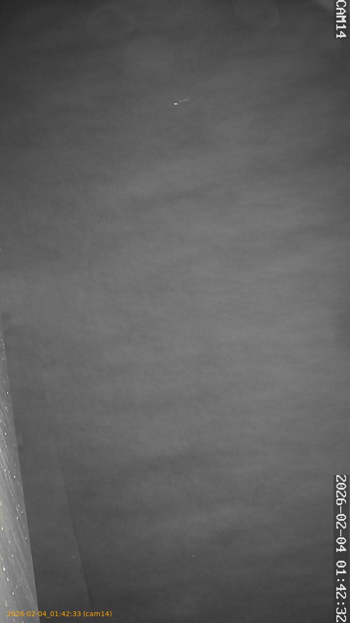 thumbnail_20260204014233