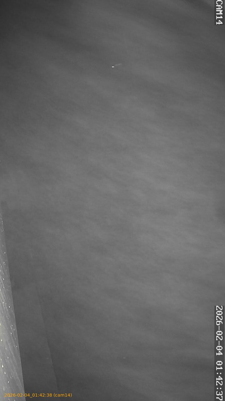 thumbnail_20260204014238