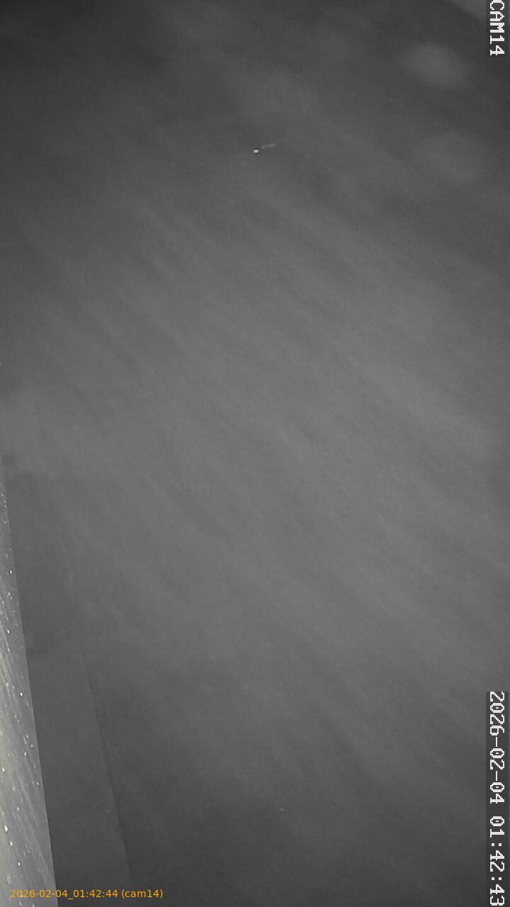 thumbnail_20260204014244