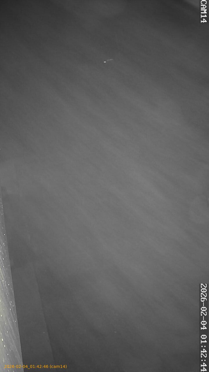 thumbnail_20260204014245