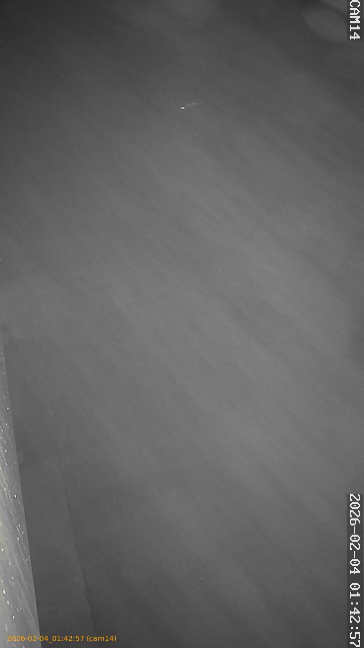 thumbnail_20260204014257