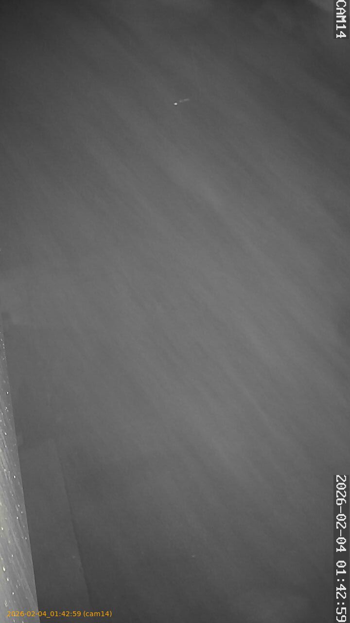 thumbnail_20260204014259