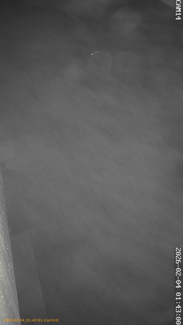 thumbnail_20260204014301