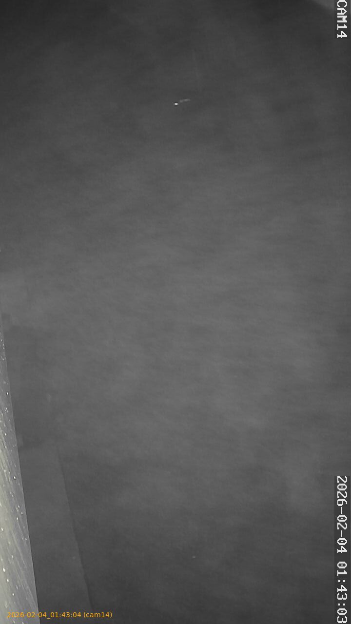 thumbnail_20260204014304